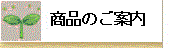 商品のご紹介