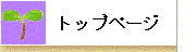 トップページ