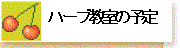 ハーブ教室の予定