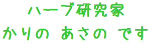 こんにちは、ハーブ@狩野です