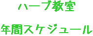 年間スケジュール
