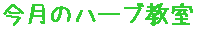 今月のハーブ教室