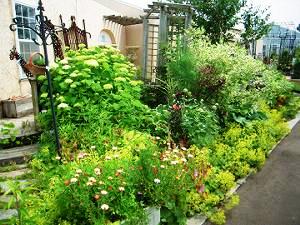 花の牧場ガーデン