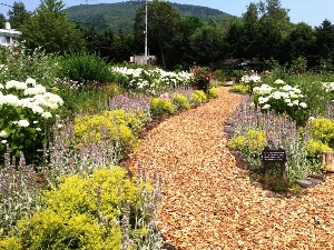 みんなの丘ガーデン