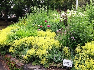 ガーデンボランティア・グリーンエプロンズ