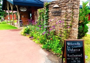 ヴィラルピシア