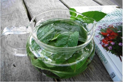 （ハーブティー）