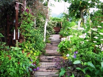 「自宅庭の様子」