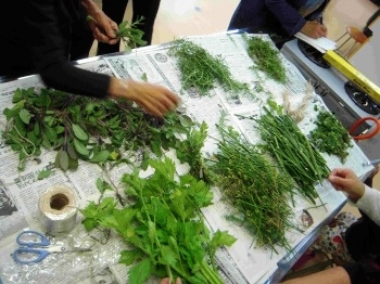 「収穫後の仕分け作業風景」