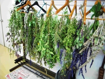 「ドライにする方法」