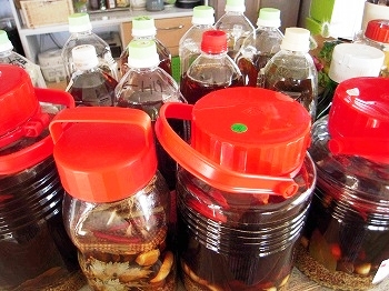 「ハーブビネガーの仕込み」