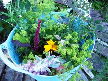 「ハーブバスケット」