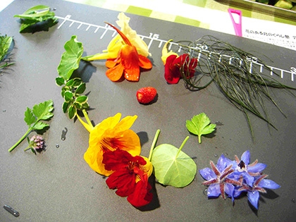 「エディブルフラワー」