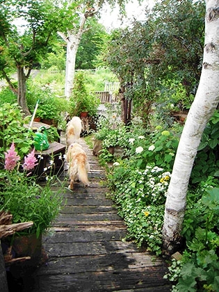 「枕木の通路」