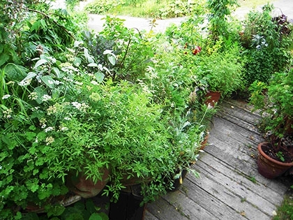 「コンテナエリア」