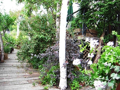 「地植えスペース」