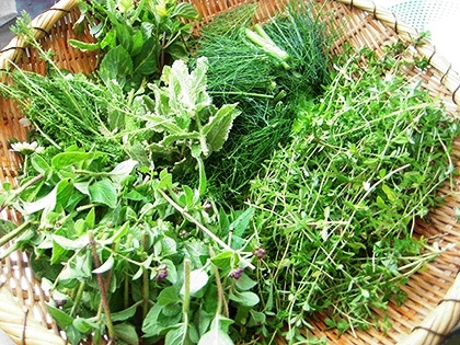 「いろいろなハーブを使って」