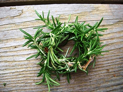 「ローズマリー」