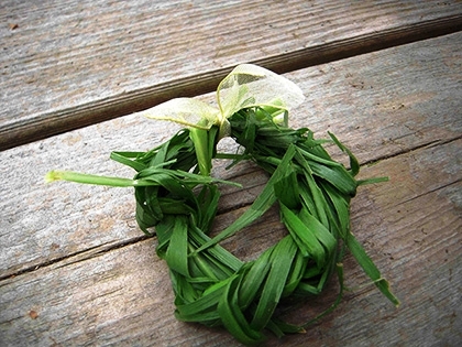 「レモングラス」