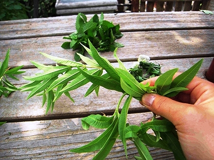 「輪にしていく」