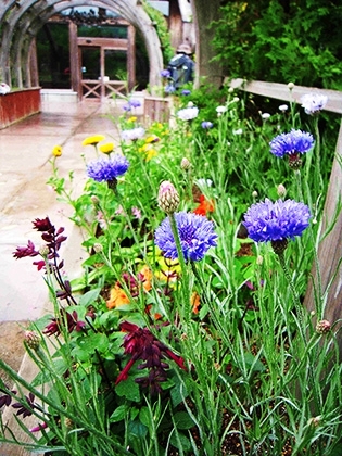 「くらしの花園ガーデン入り口」