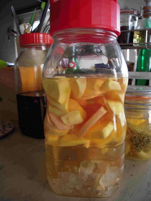 しょうがビネガー